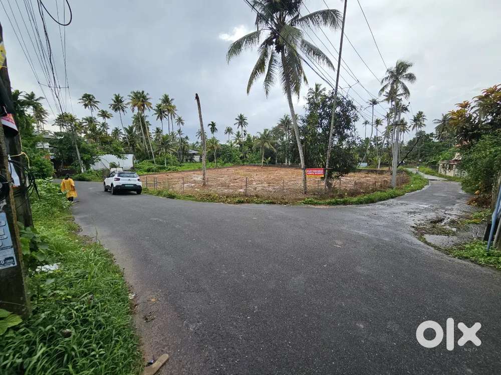 Plots for Sale– 34 Cents in Manjadimoodu,Near Sree Sarkara Devi Temple