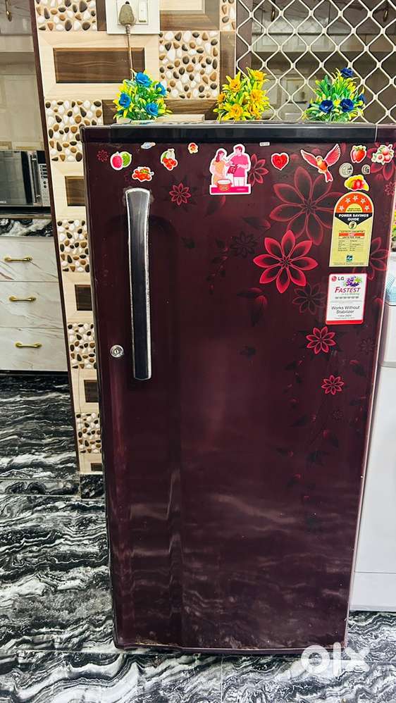 LG 185 L Refrigrator, Cooling Perfect, 5 Star Rating, Single Door