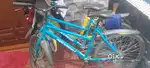 Single gear adult cycle