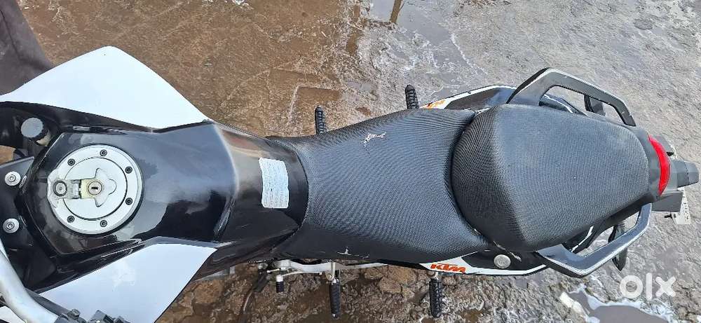 Best condition duke for sale