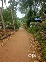 46Cent Land Nr Vengode Jnctn Panchayath Road Frontage 3.5Km from NH66