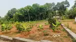PATTIMATTOM 8 KM, KIZHAKKAMBALAM 13 KM, RESIDENTIAL PLOT AIRAPURAM