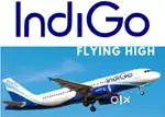 AIRPORT LARGEST JOBS VACANCY GROUND STAFF TICKET CHECKER OR CABIN CREW