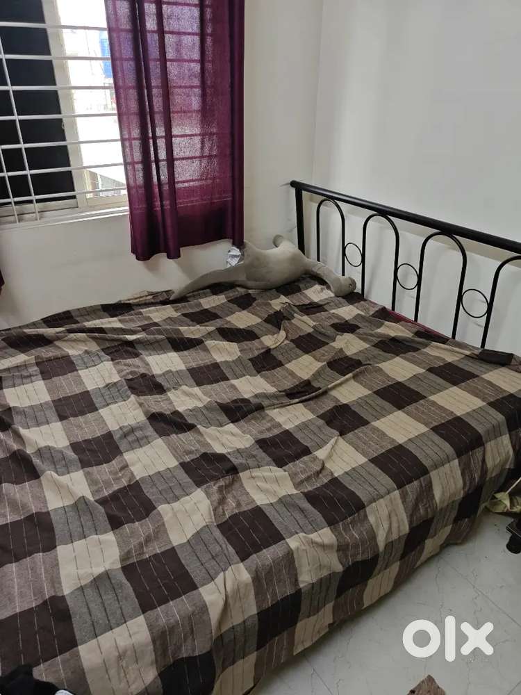 Double cot(2peices available)