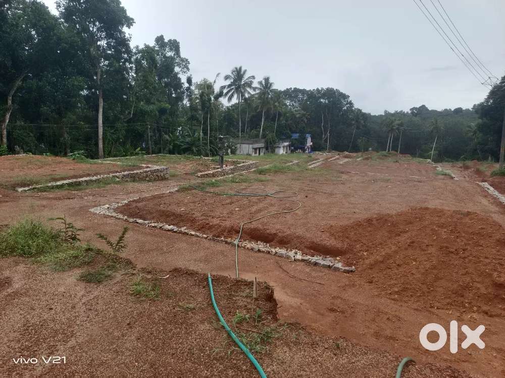 സെന്റിന് 3.10lakh, ലോറി site