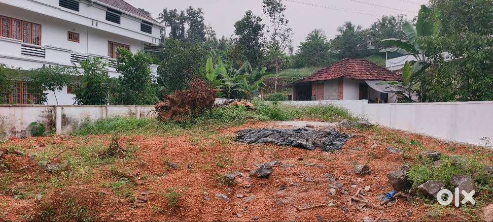 ₹25k 10cent plot area for rent 200meter from kothamangalam ksrtc stand