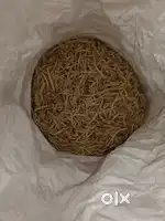 White musali And ashwagandha
