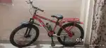 Cycle Parrot