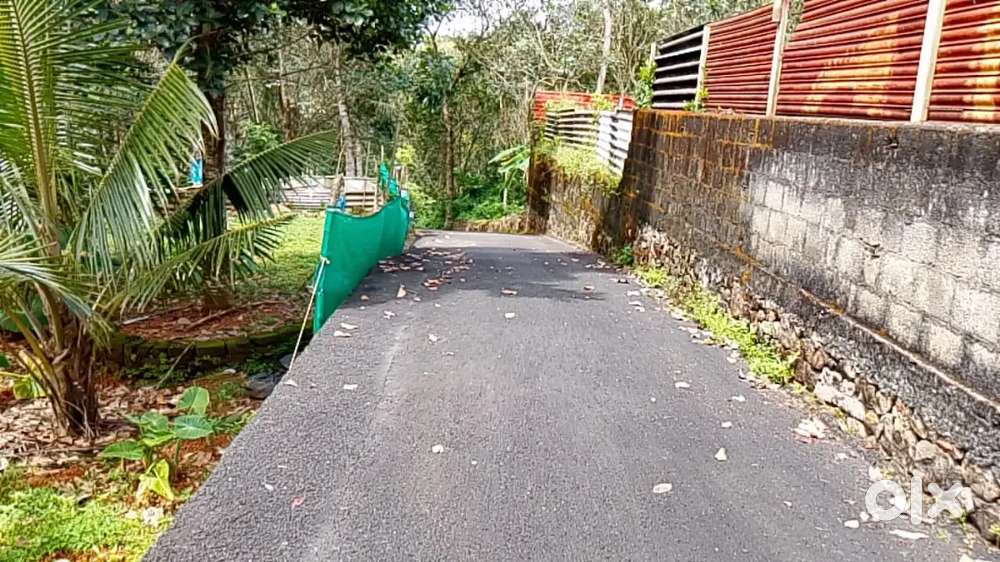 42 Cent Property In Mukkoor