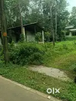 Urgent Plot for Sale – Near Punnad Town