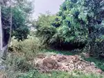 Plot in Sugamau, Indra Nagar lucknow