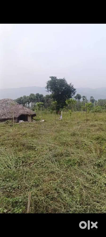 రెండు ఎకరాలు land for sale