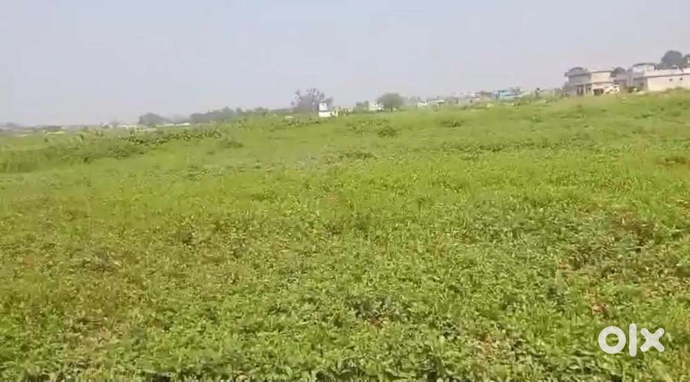 I want to buy 5 decimil ST plot in jharsuguda.Not for SALE