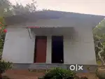 15 cents with house