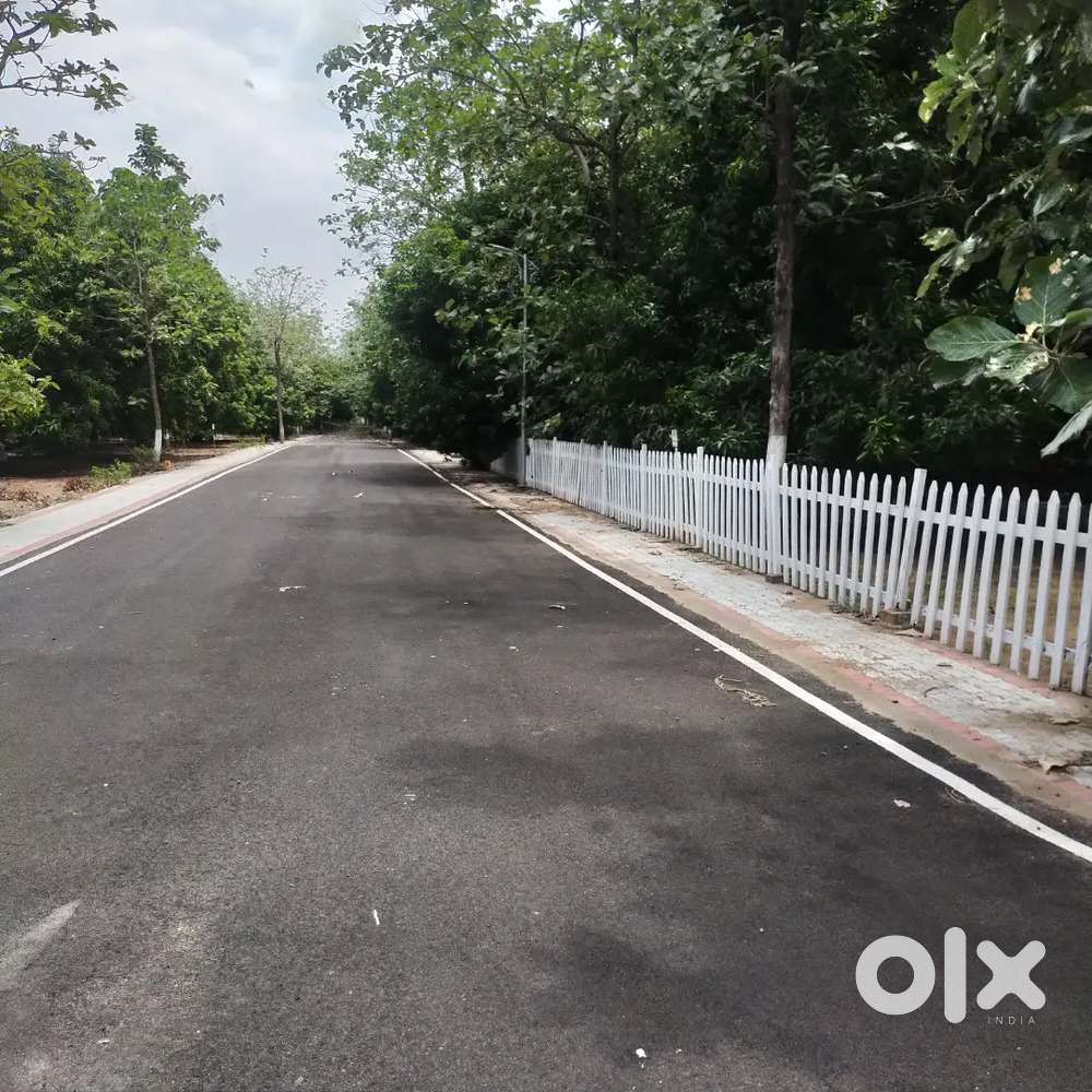 Teak and Mango Trees Farm Land at Chengalpattu