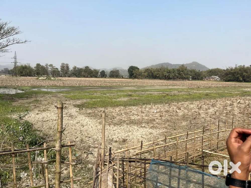 This plot near 7th mile assam inginering collage