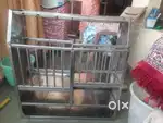Kitchen Utensils Stand