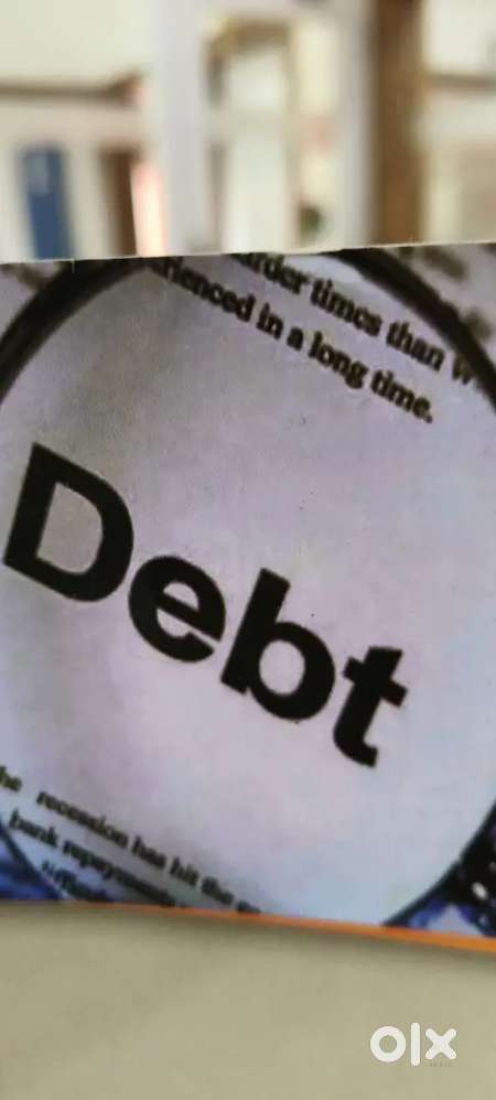 Collection executive