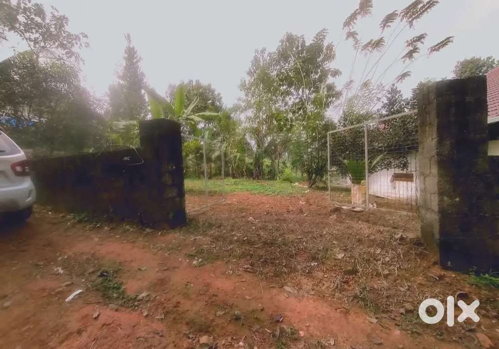 15 cent suitable for house construction