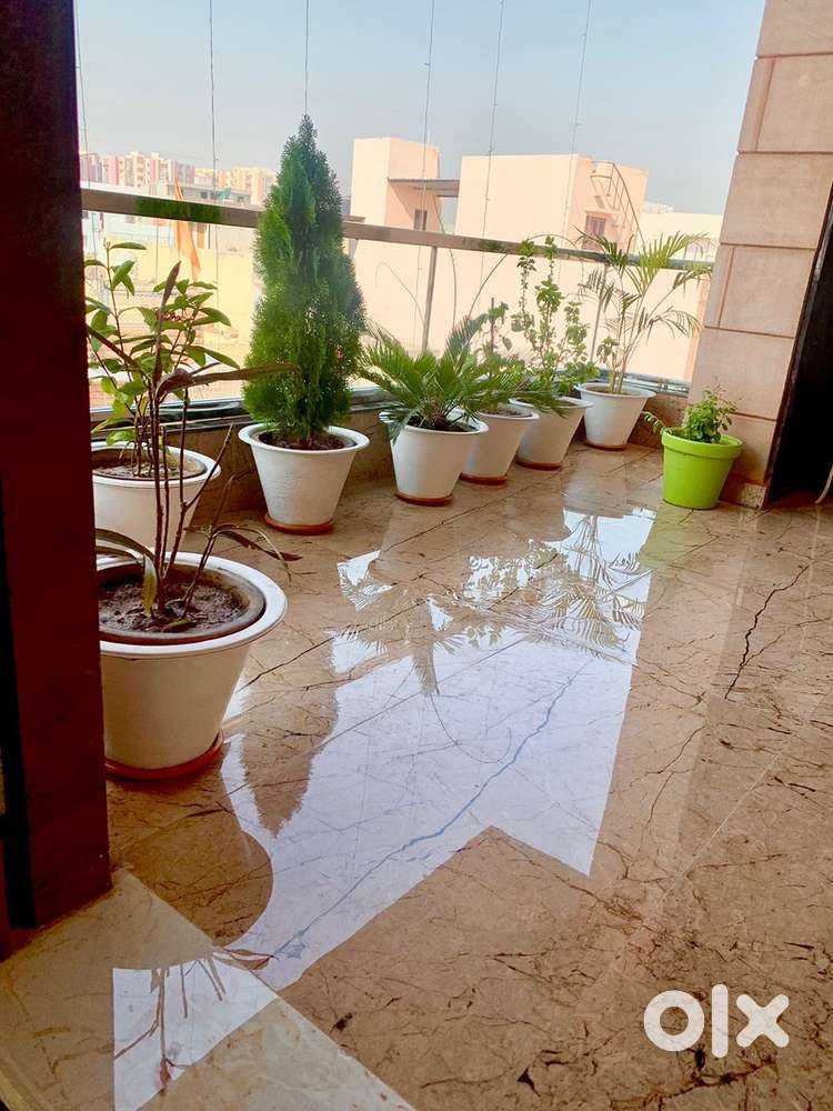 Room Rent For ladies Girls family