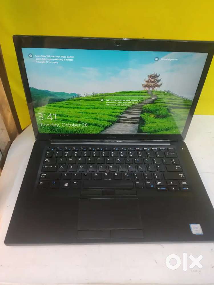 Bumper Dhamaka Offer