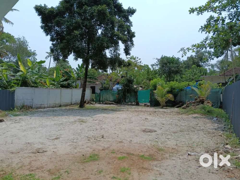 കളർകോട് റിലയൻസ് മാളിന് പടിഞ്ഞാറ്മാറി 4 സെന്റ് വസ്തു വിൽപ്പനയ്ക്ക്