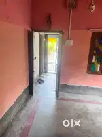 House rent for Girls student