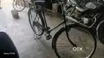 Hercules cycle, Desi cycle 1year old