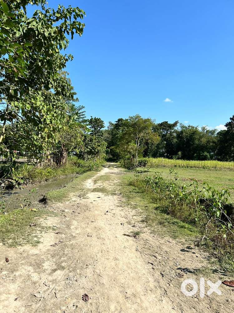 6kotha Land for sale-sorupaat gaon