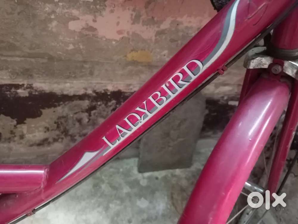 Ladybird cycle for sale