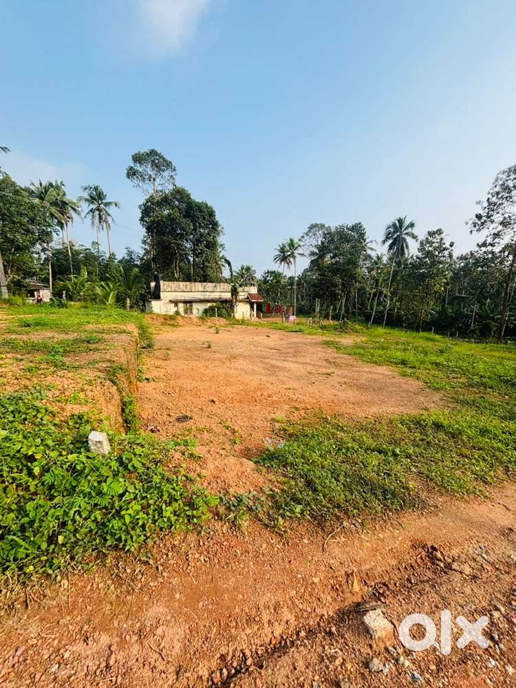 Kulappada House plot ‼️Urgent sale ‼️