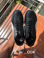 ZEROSTAR shoe size :8