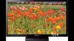 Sony KLV-24P422B (24-inch) HD Ready LED TV