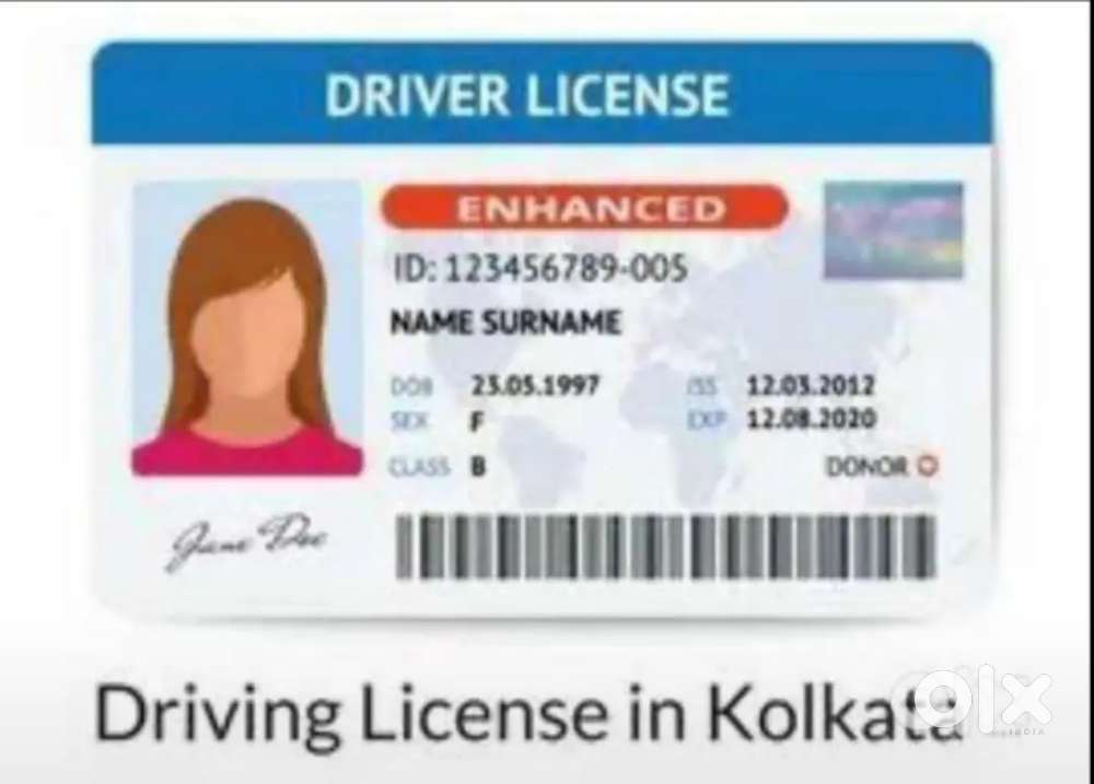 Driving licence