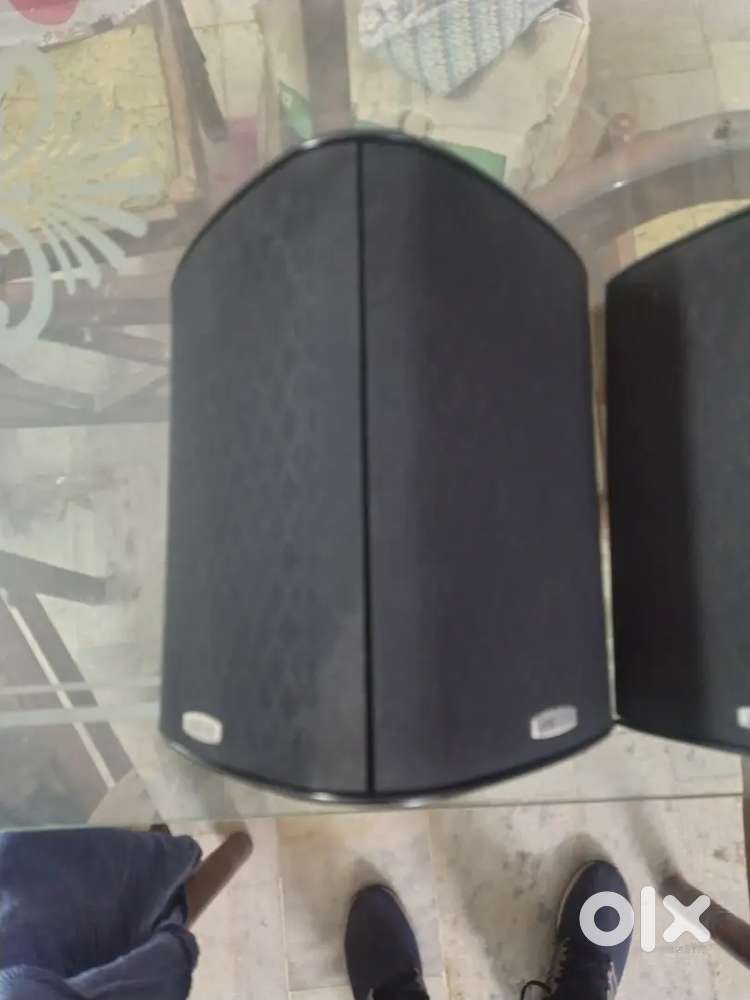 Polkaudio bipolar speaker