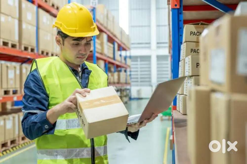 100+ Warehouse company job opportunity