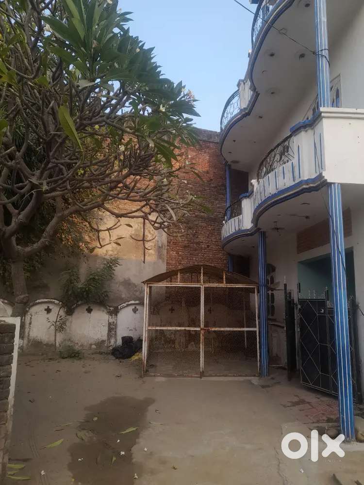 3BHK House floor for rent, near DAV School, Indralok colony