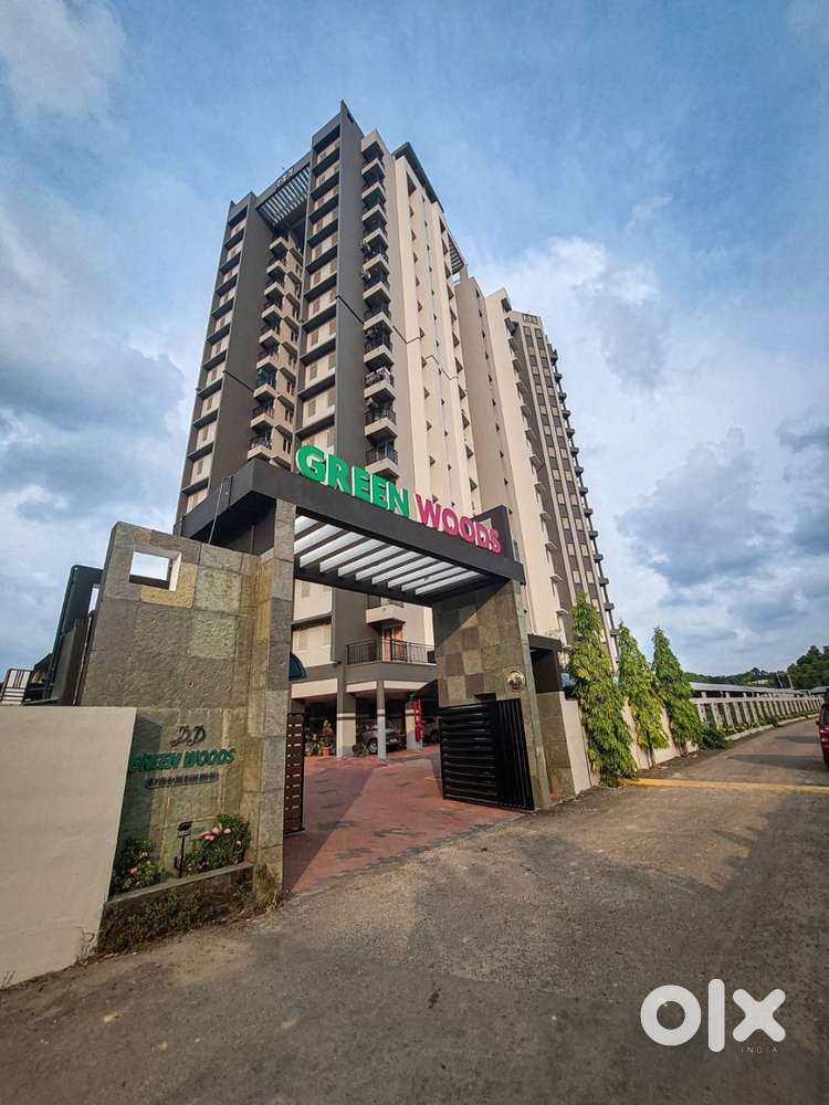 FULLY FURNISHED 3 BHK WITH ALL AMENITIES (PRJECT DD)