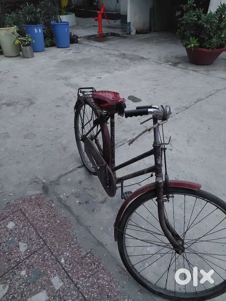 Cycle for sale