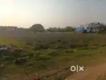 Plot for Sale, Poonga Nagar, Poonthottam, Main Raod,Near Petrol Bunk,