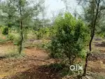 హైదరాబాద్–ఆడంకి నేషనల్ హైవేకు కేవలం 3 కి.మీ
