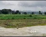 20 feet RCC Road Plot For Sale in Garhwali Colony Kheri Doiwala