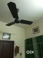 Ceiling  fan  for sale