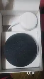 Google mini nest 2nd generation
