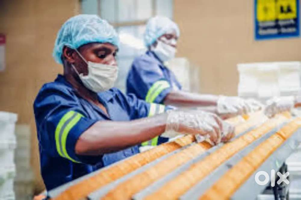 WANTED MALE /FEMALE  PACKING/COUNTER STAFFS