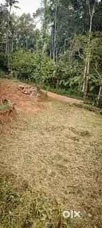 Plot for Sale