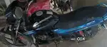 Glamour blue and black