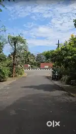 9 cent near Nadathara Highway