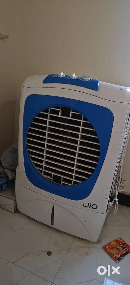 8 mont old new coler