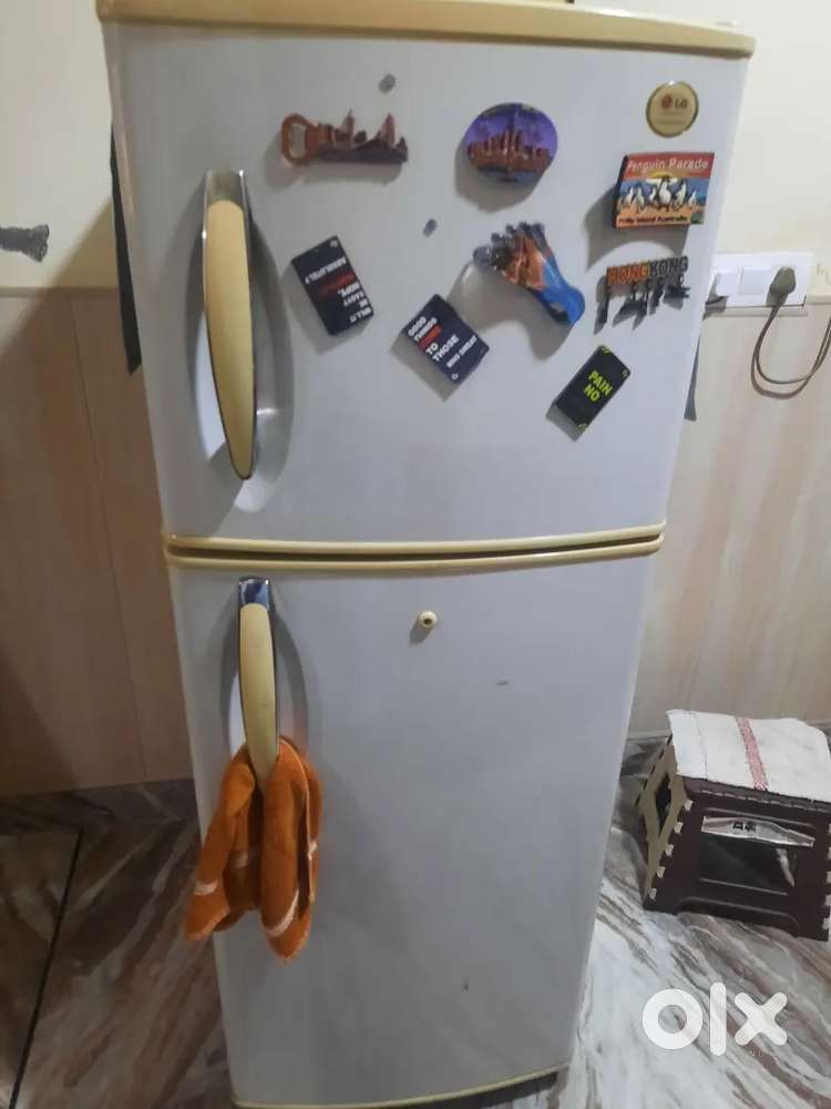 LG double door fridge